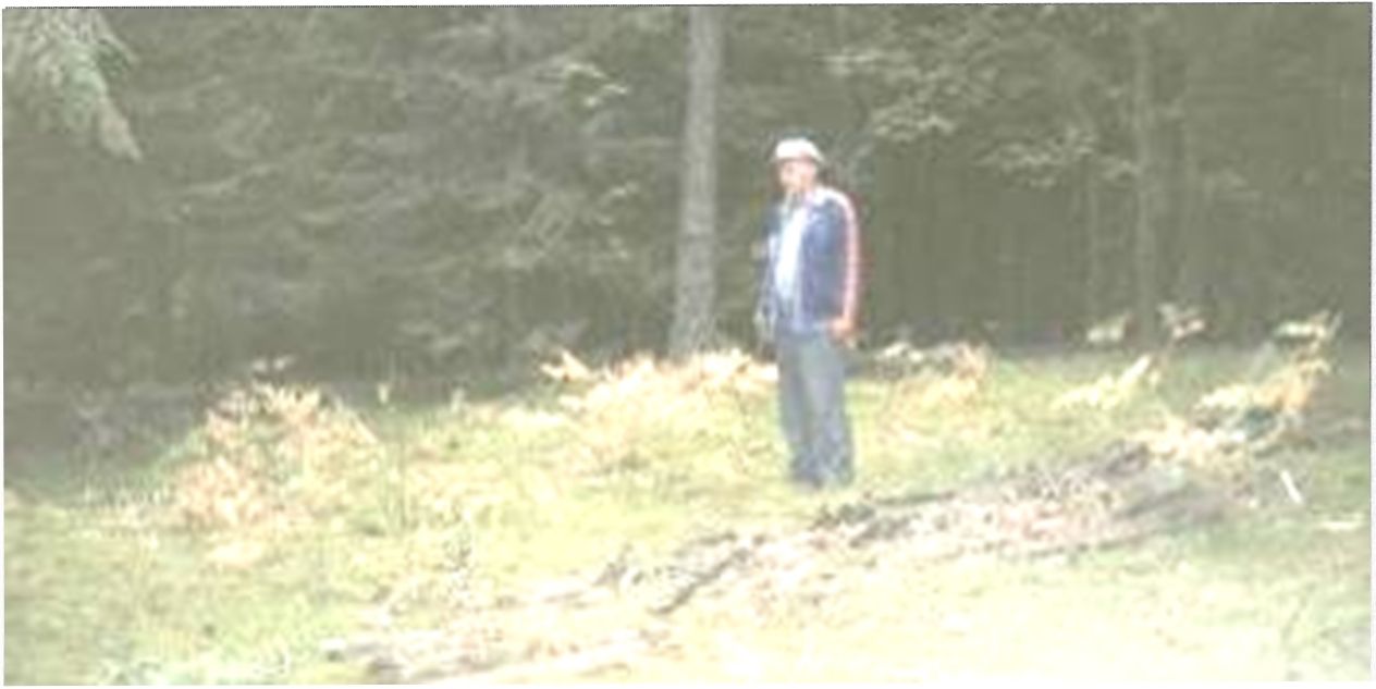 Partizano Jono Ulevičiaus-Ainio, Leitenanto žūties vieta Prienų šile